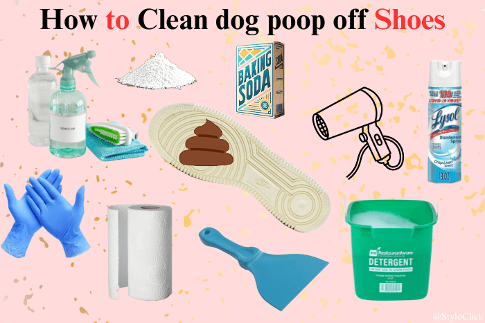 How to Clean dog poop off Shoes