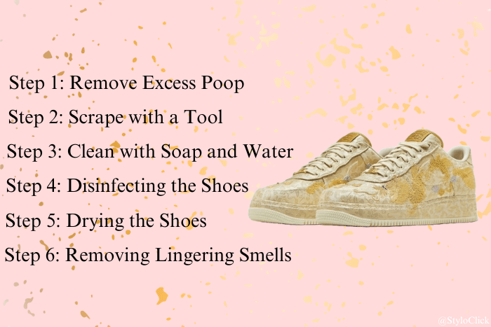 How to Clean dog poop off Shoes