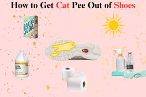 how to get cat pee out of shoes