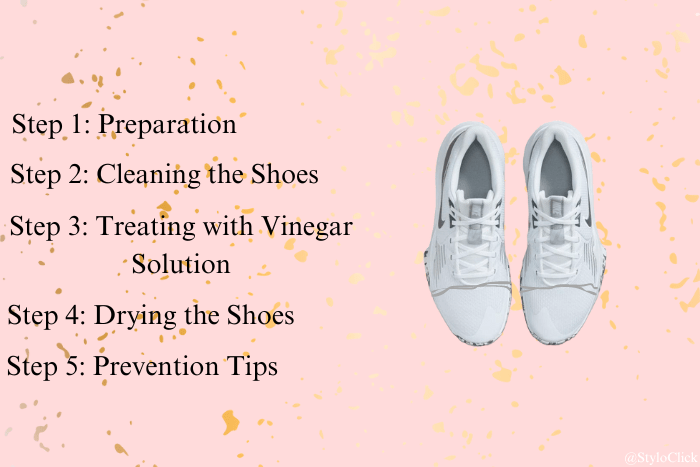 How to Remove Mold from Shoes